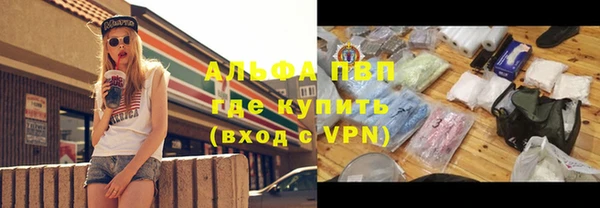мяу мяу мука Тайга